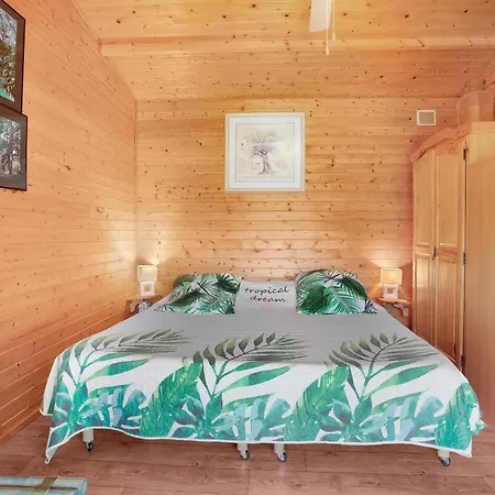 Joli En Bois Mesange Bleu