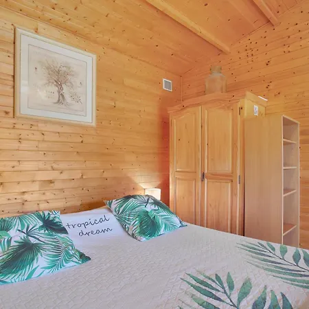 Joli En Bois Mesange Bleu * Roquebrune-sur Argens