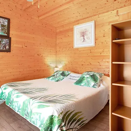 Joli En Bois Mesange Bleu *