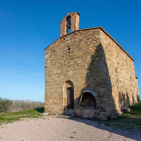 Joli En Bois Mesange Bleu Roquebrune-sur Argens
