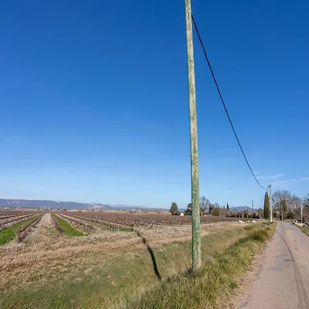 Joli En Bois Mesange Bleu * Roquebrune-sur Argens