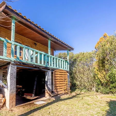 Joli En Bois Mesange Bleu *