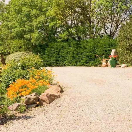 Joli En Bois Mesange Bleu * Roquebrune-sur Argens