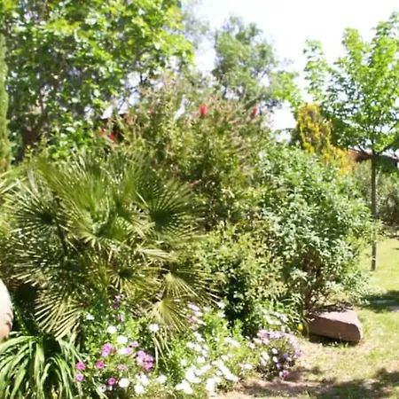 Joli En Bois Mesange Bleu * Roquebrune-sur Argens