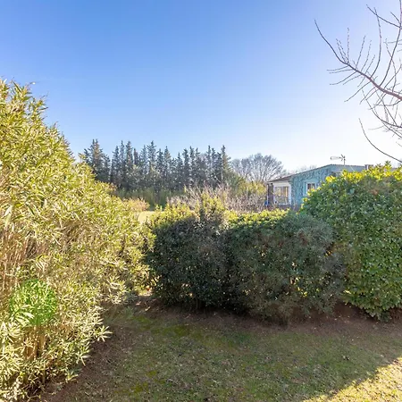 Joli En Bois Mesange Bleu Alpstuga Roquebrune-sur Argens