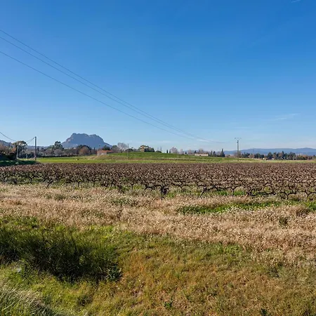 Joli En Bois Mesange Bleu * Roquebrune-sur Argens