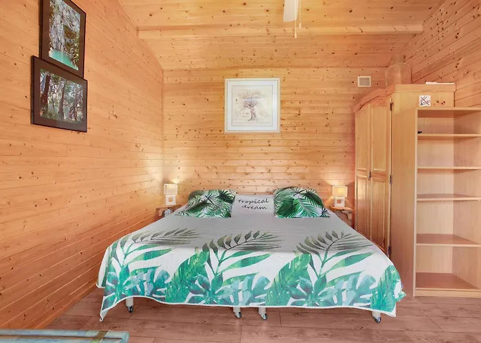 Joli En Bois Mesange Bleu Dağ evi