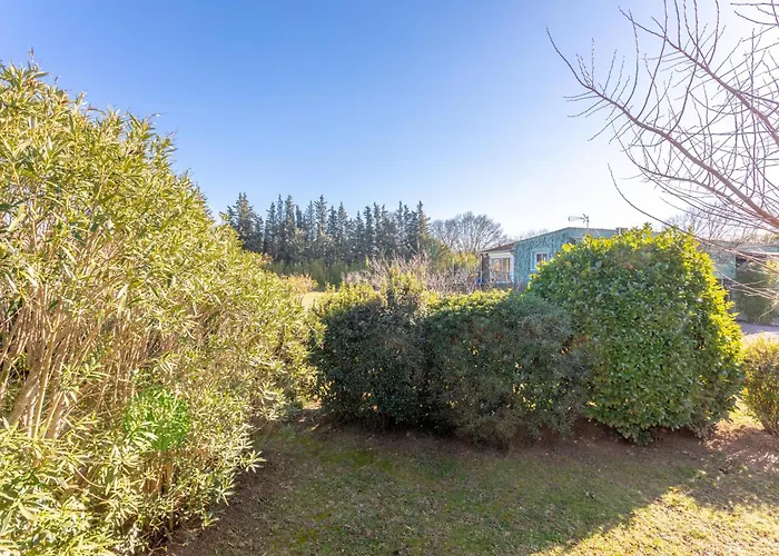 Dağ evi Joli En Bois Mesange Bleu Roquebrune-sur Argens