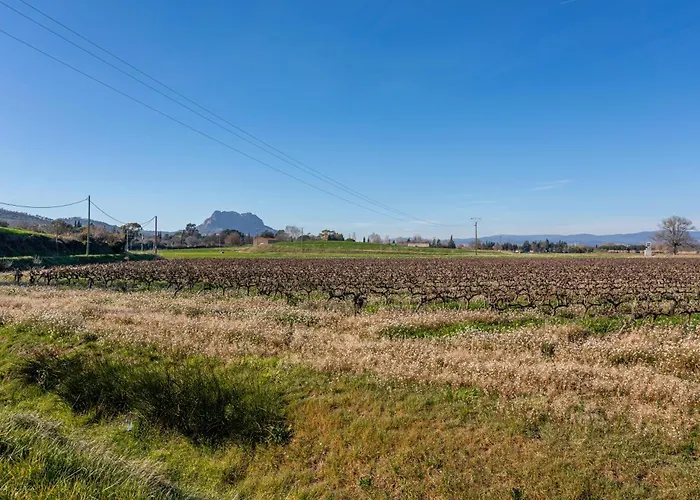 Dağ evi Joli En Bois Mesange Bleu Roquebrune-sur Argens