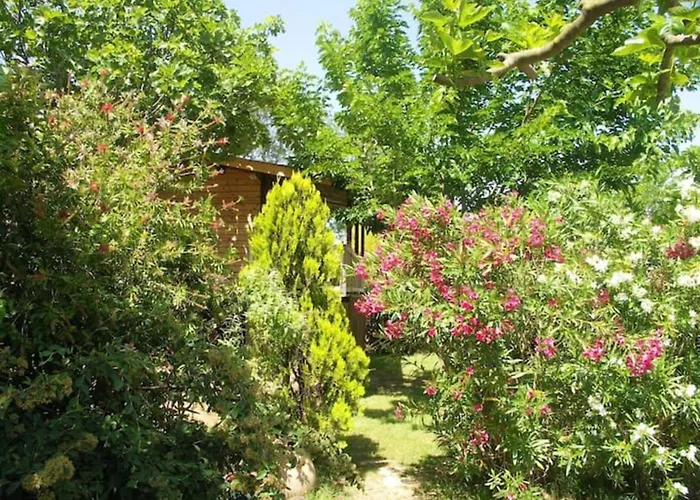Joli En Bois Mesange Bleu Roquebrune-sur Argens